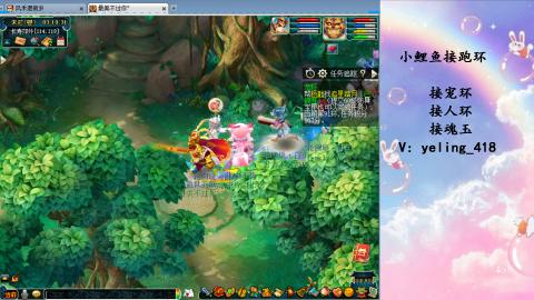 接命魂之玉 人环 宠环