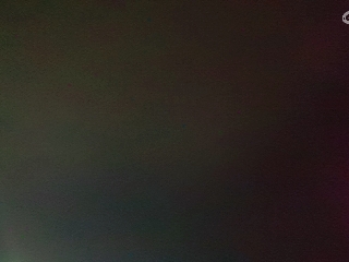 别翻了~就我了~