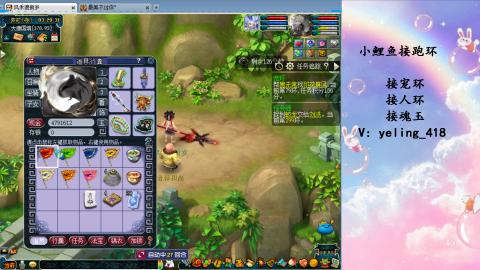 接命魂之玉 人环 宠环