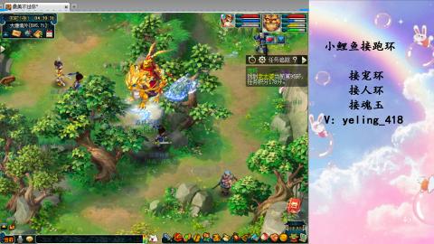 接命魂之玉 人环 宠环