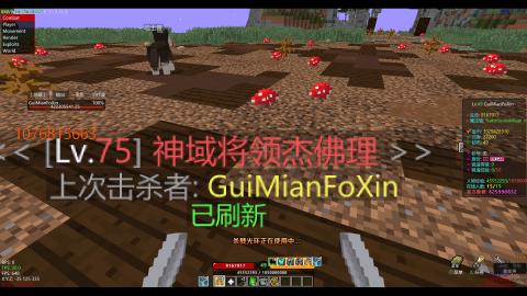 我的世界