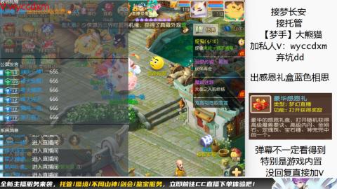 接大海龟活动最后俩天