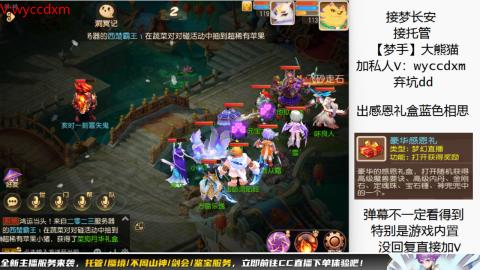接大海龟活动最后俩天