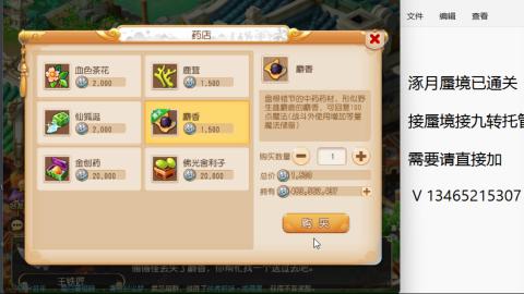 接九转蜃境托管~