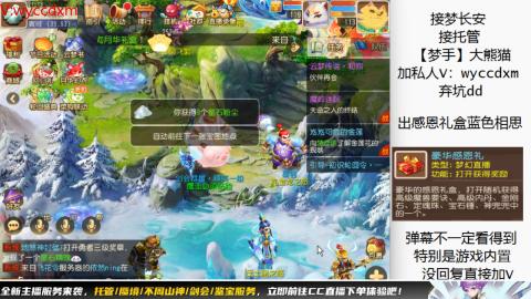 接大海龟活动最后俩天