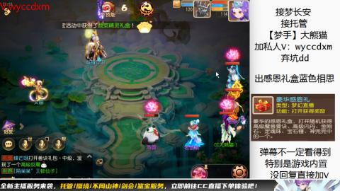 接大海龟活动最后俩天