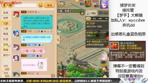 接大海龟活动最后俩天