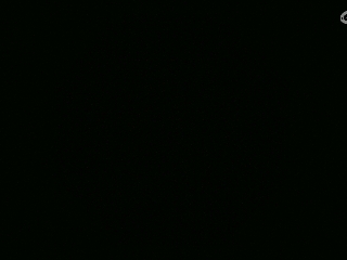 不要留下我一个人孤军奋战..