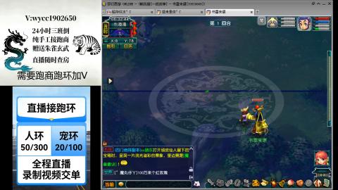 接畅玩跑环跑商