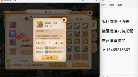 接九转蜃境托管~