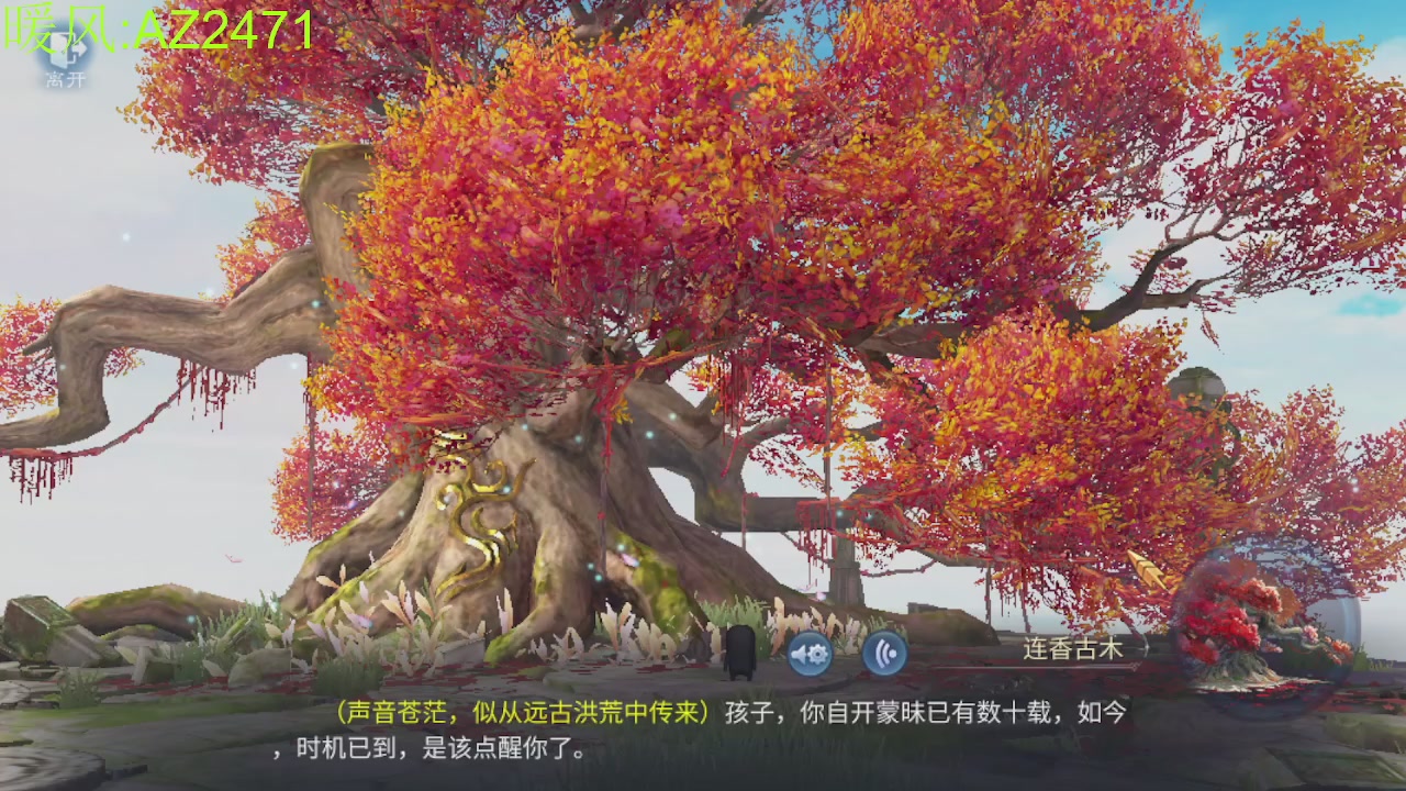 接托管，包强化，背饰打造