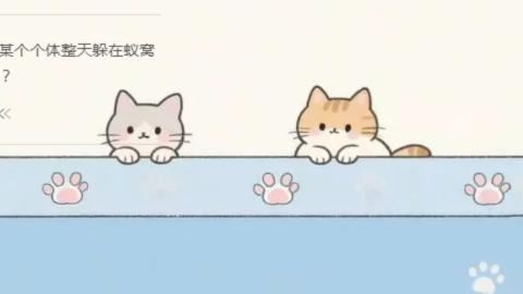 接九转蜃境托管