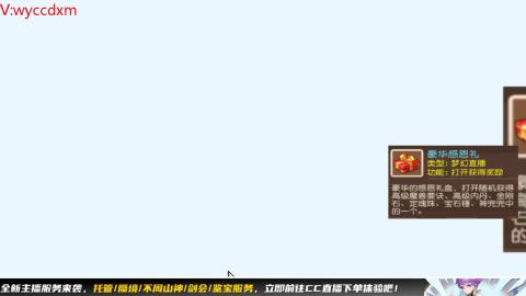 接大海龟活动最后俩天