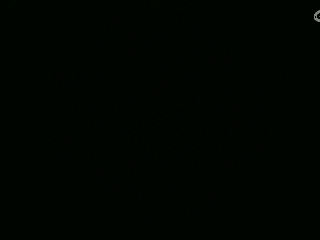 不要留下我一个人孤军奋战..