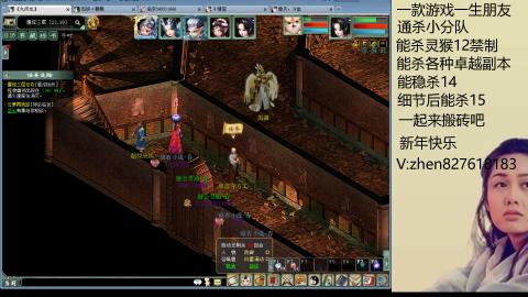 无属性双盘小分队