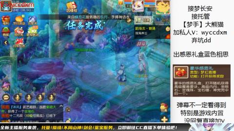接大海龟活动最后俩天