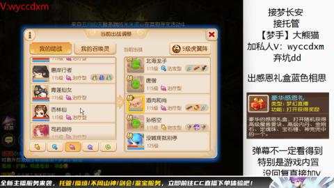 接大海龟活动最后俩天