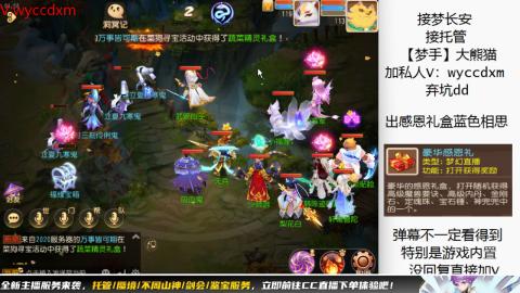 接大海龟活动最后俩天