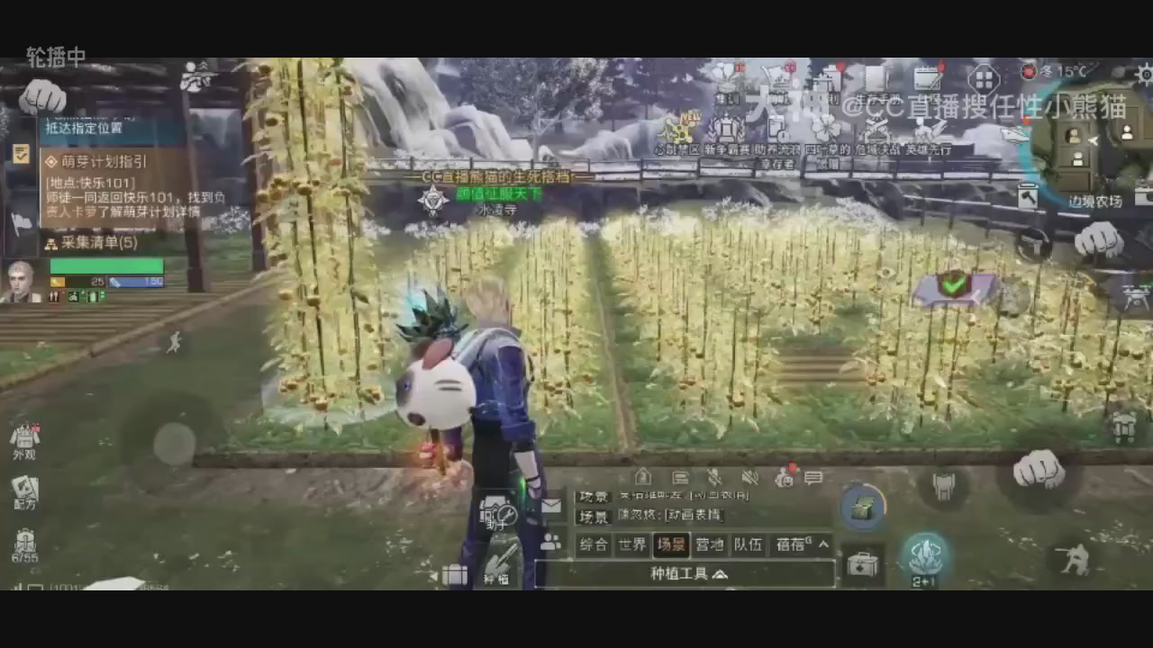 直播回放，购买CC时装请加V