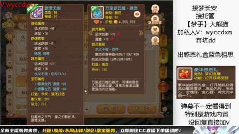 接大海龟活动最后俩天