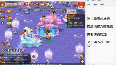 接九转蜃境托管~
