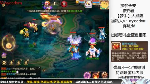 接大海龟活动最后俩天