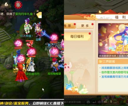 接大海龟活动最后俩天