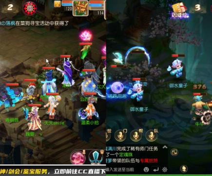 接大海龟活动最后俩天