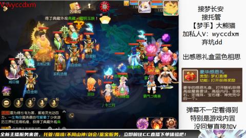 接大海龟活动最后俩天