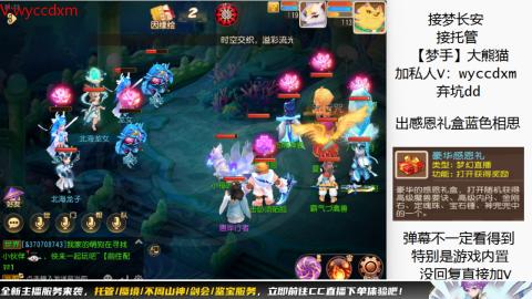 接大海龟活动最后俩天