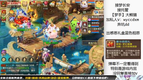 接大海龟活动最后俩天