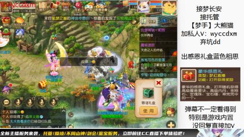 接大海龟活动最后俩天