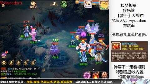 接大海龟活动最后俩天