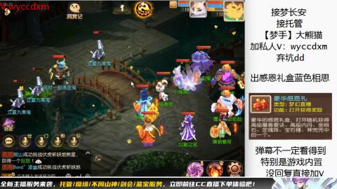 接大海龟活动最后俩天
