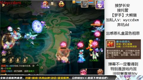 接大海龟活动最后俩天