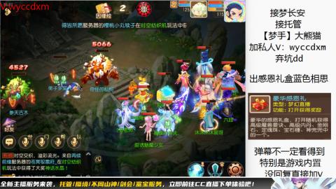 接大海龟活动最后俩天