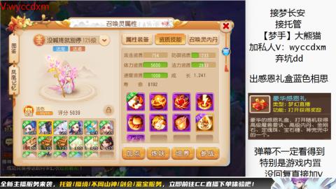 接大海龟活动最后俩天
