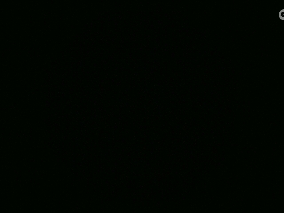 不要留下我一个人孤军奋战..
