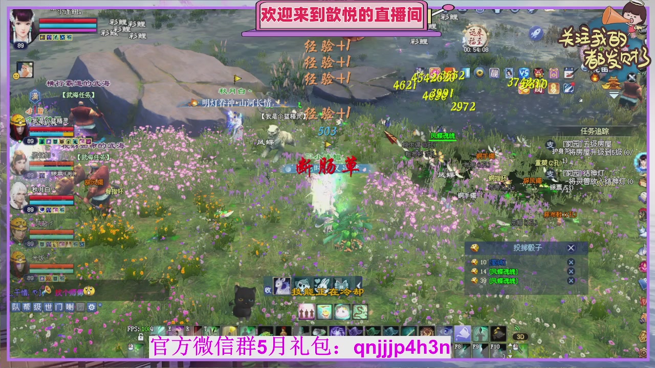 你的游戏搭子已上线