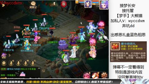 接大海龟活动最后俩天