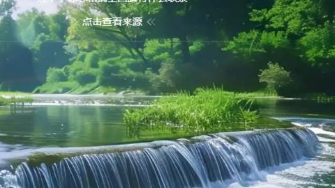 接九转蜃境托管