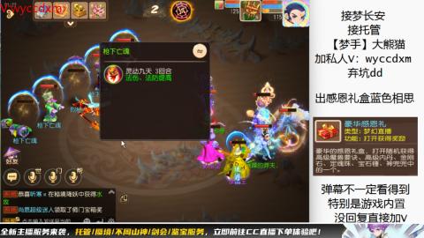 接大海龟活动最后俩天