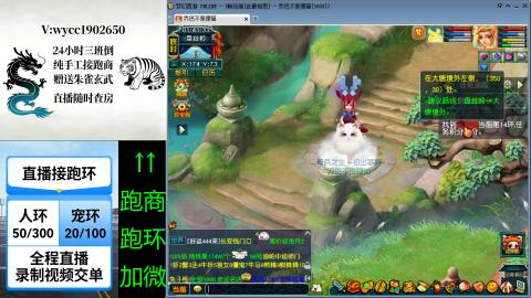 接畅玩跑商跑环