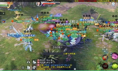 欢迎来看我的直播～