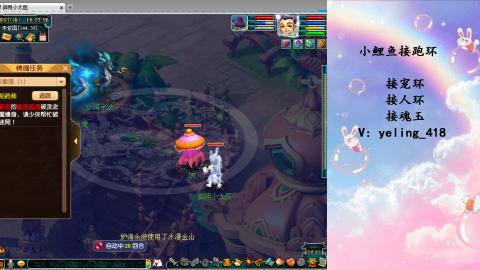 接命魂之玉 人环 宠环