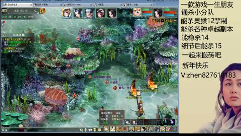 无属性双盘小分队