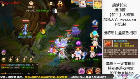 接大海龟活动最后俩天