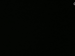 不要留下我一个人孤军奋战..