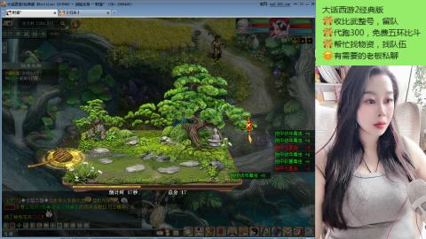 一只小野猫吖~