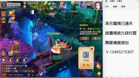 接九转蜃境托管~